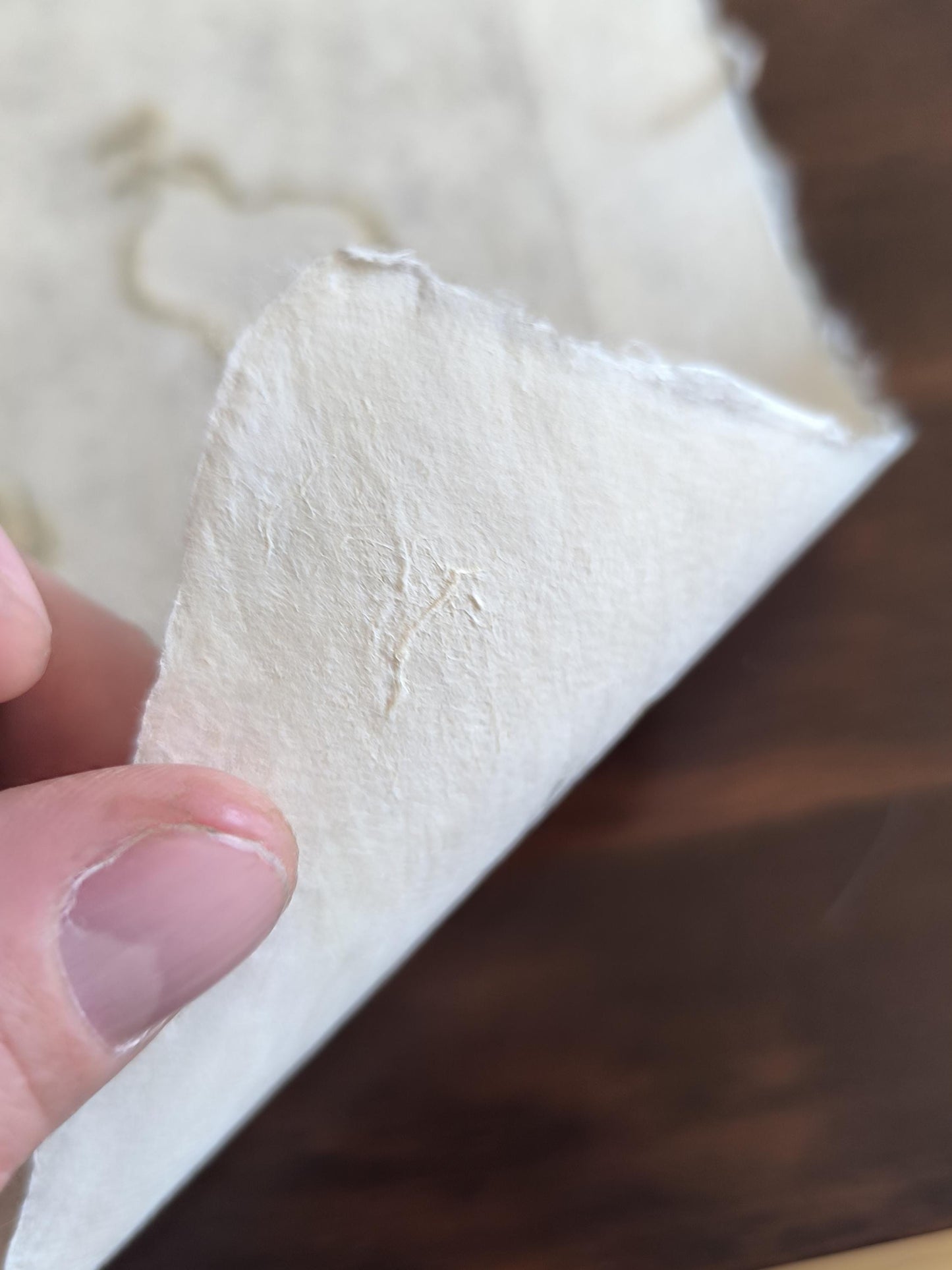 Horst Janssen Lithograph "Elephant", Colored Aquatint 1995, Signed by Heir