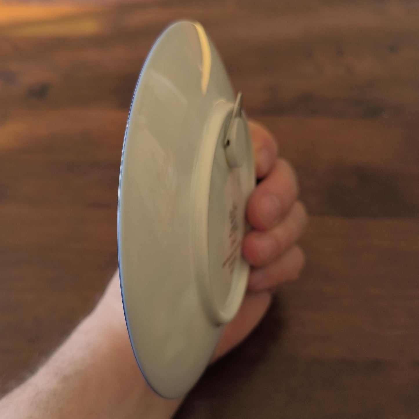 Oriental Night Music Plate, Rosenthal Porcelain 1976