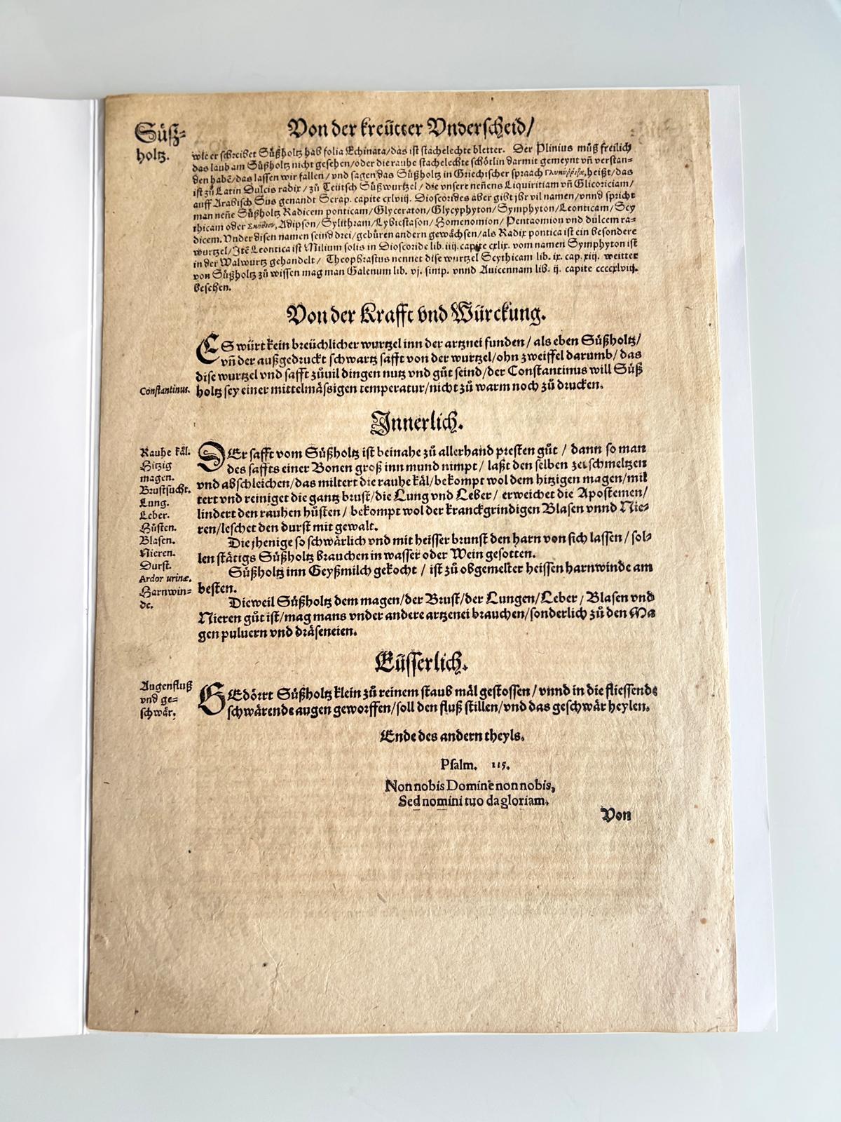 Licorice Herbal Book Page Tabernaemontanus Frankfurt 1588