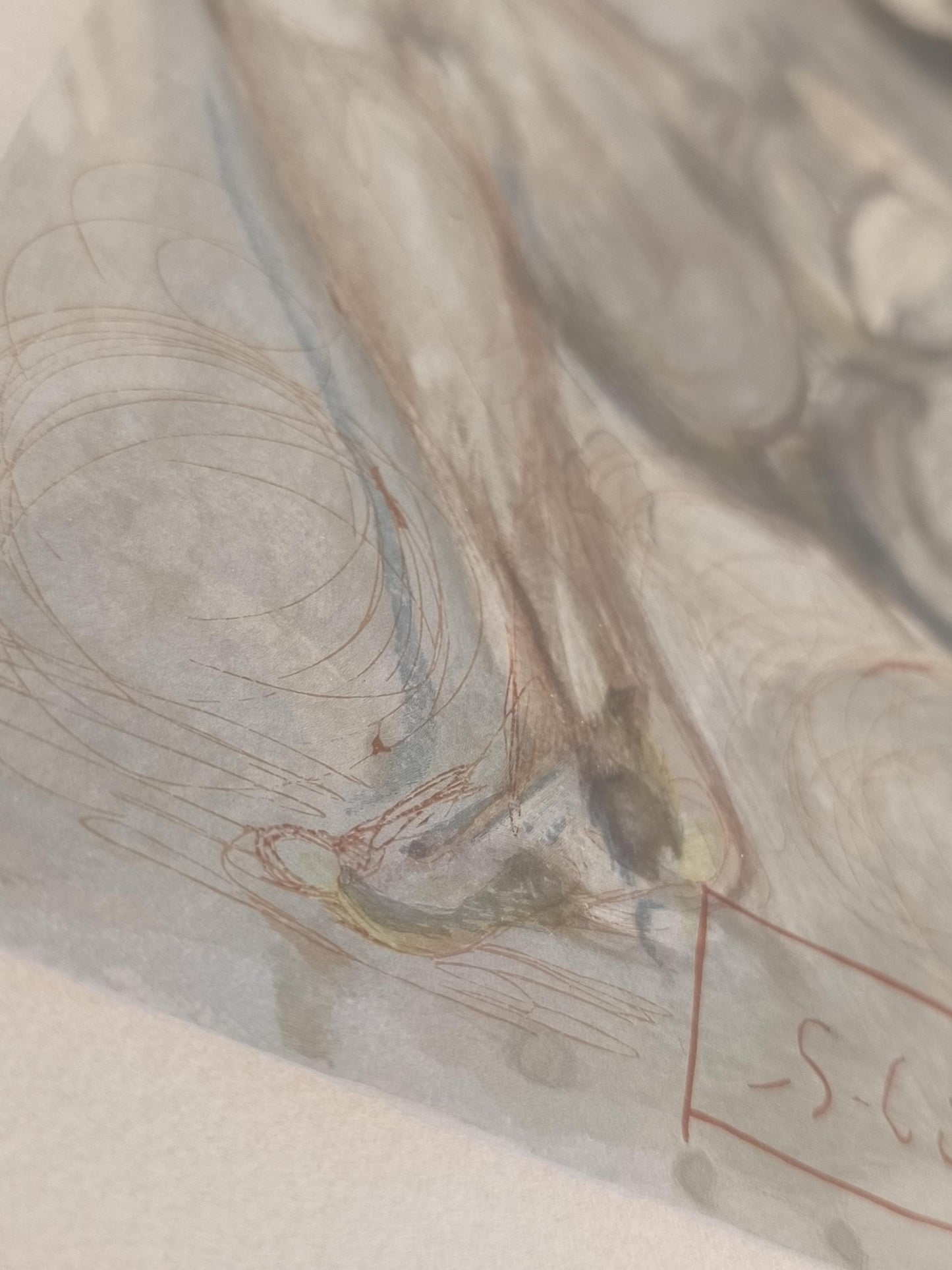 Salvador Dalí Woodcut "Envy" Divine Comedy, Framed, 1960–63, Certified