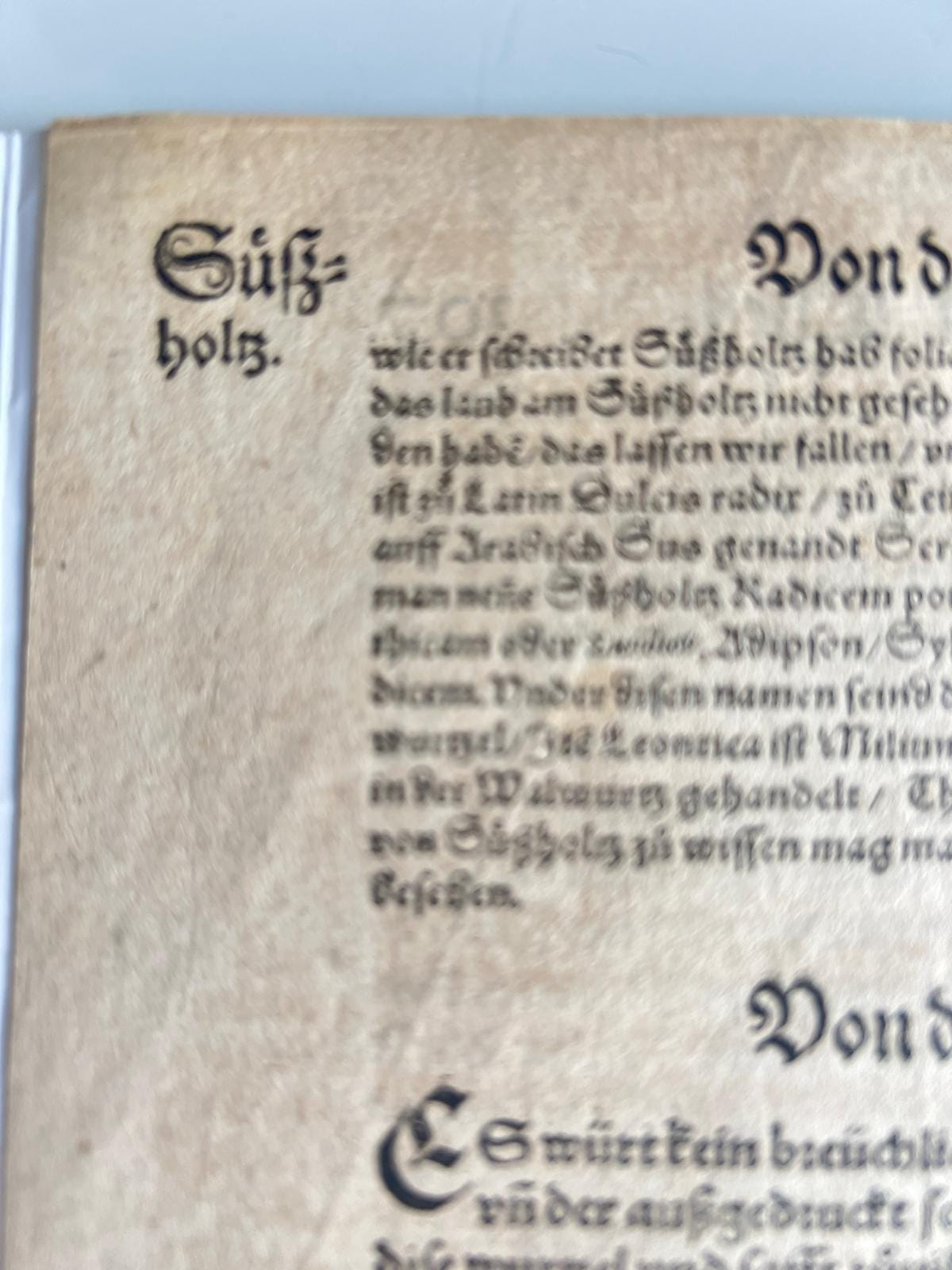 Licorice Herbal Book Page Tabernaemontanus Frankfurt 1588