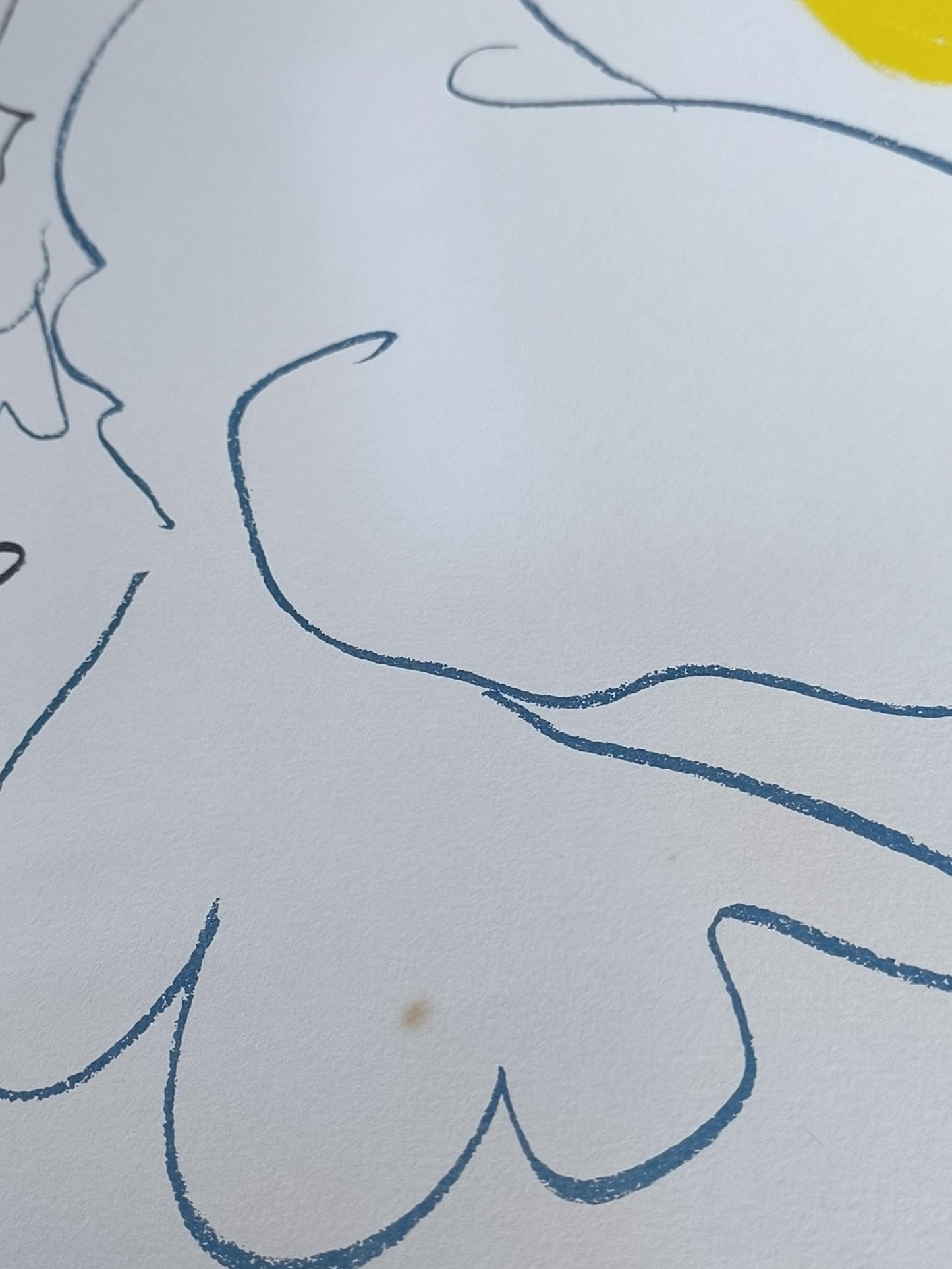 Pablo Picasso "Dove of Peace" Lithograph, 1962, Signed, Framed 60x80 cm