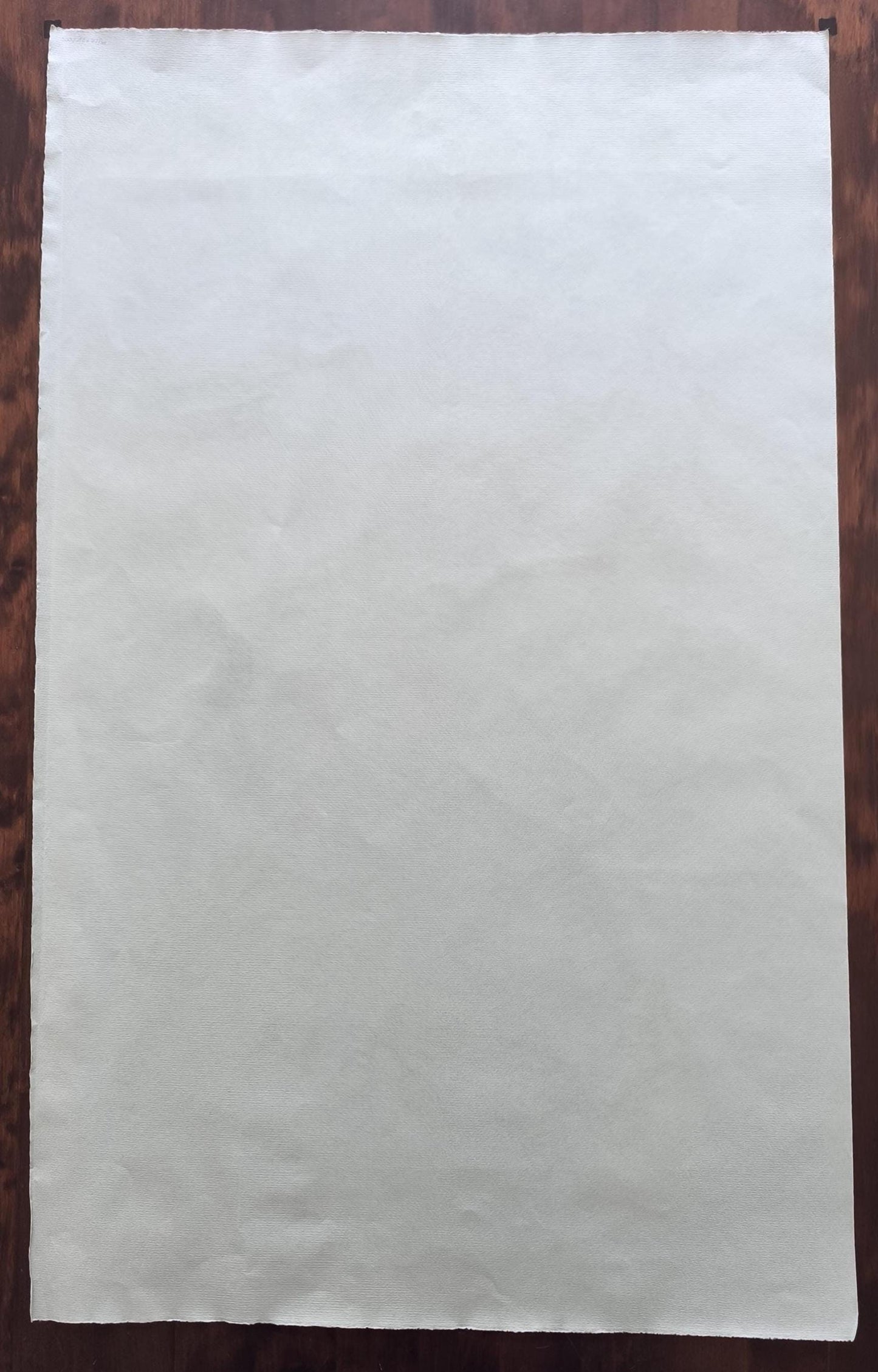 Bele Bachem Lithograph 4/100, Signed, Eine Bürgermeisterin, 1982