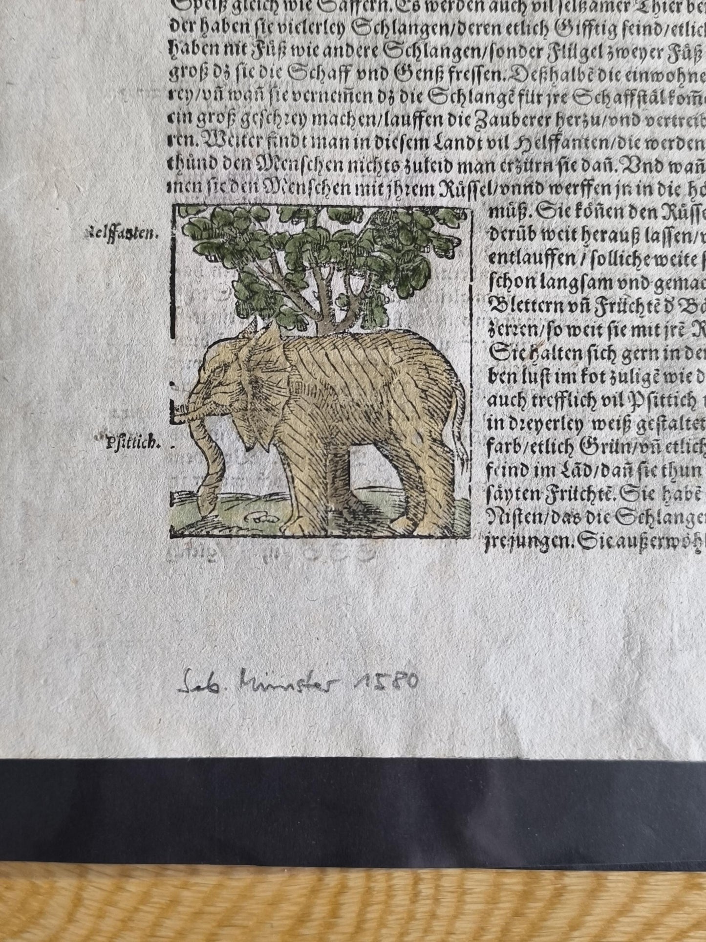 Woodcut Page from Münster’s Cosmographia, Double-Sided, ca. 1580