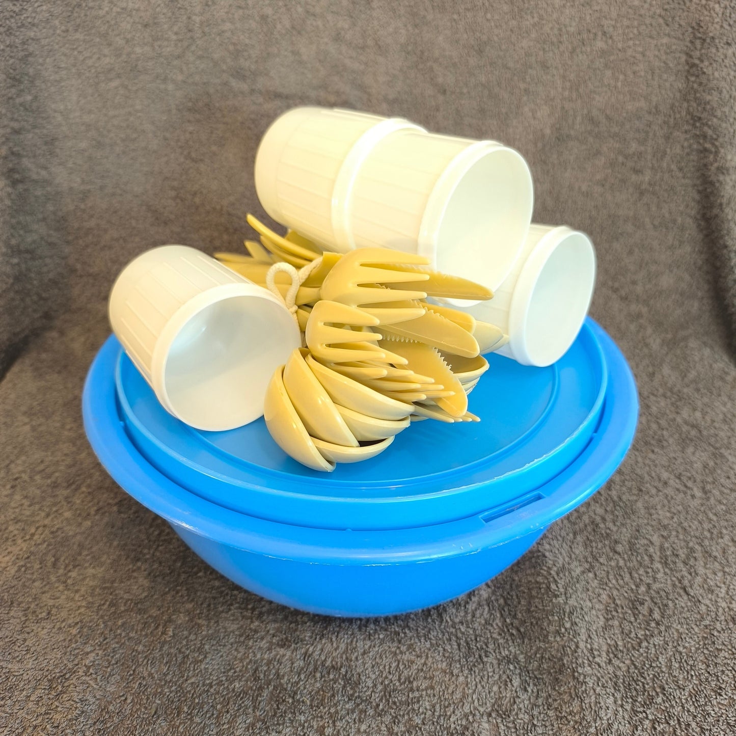 Picnic Tableware Set USSR 1980, Picnic Bowl