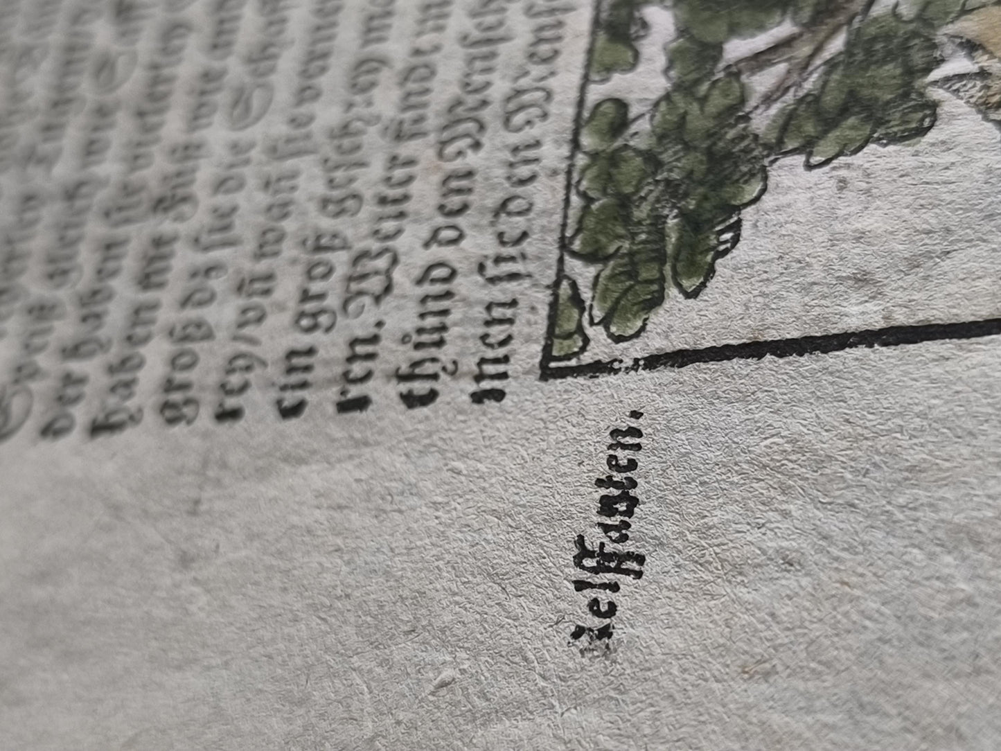 Woodcut Page from Münster’s Cosmographia, Double-Sided, ca. 1580