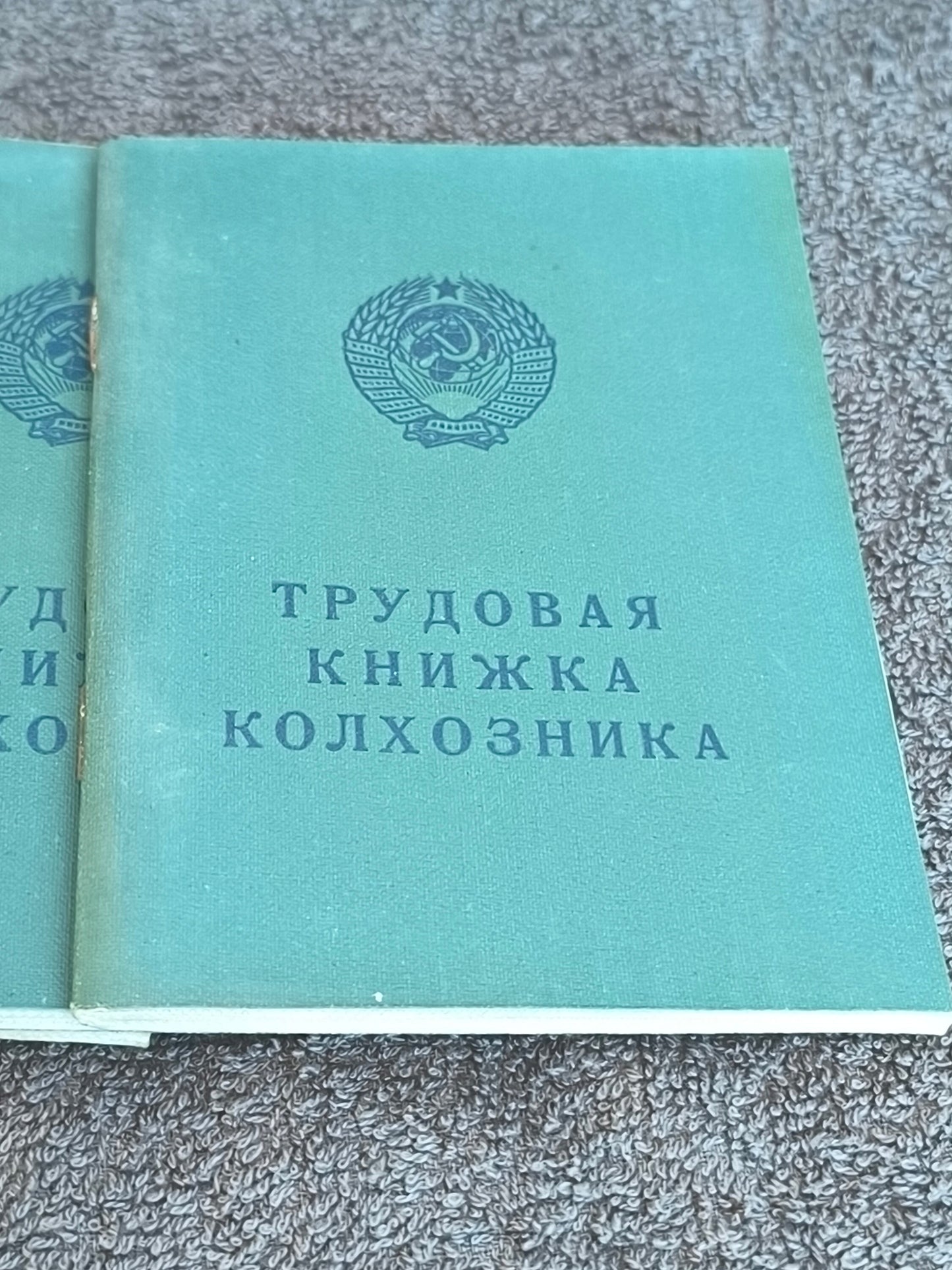 Farm Worker's Workbook, Original Blank Document , Collection of Rare Soviet Lithuanian Blanks.