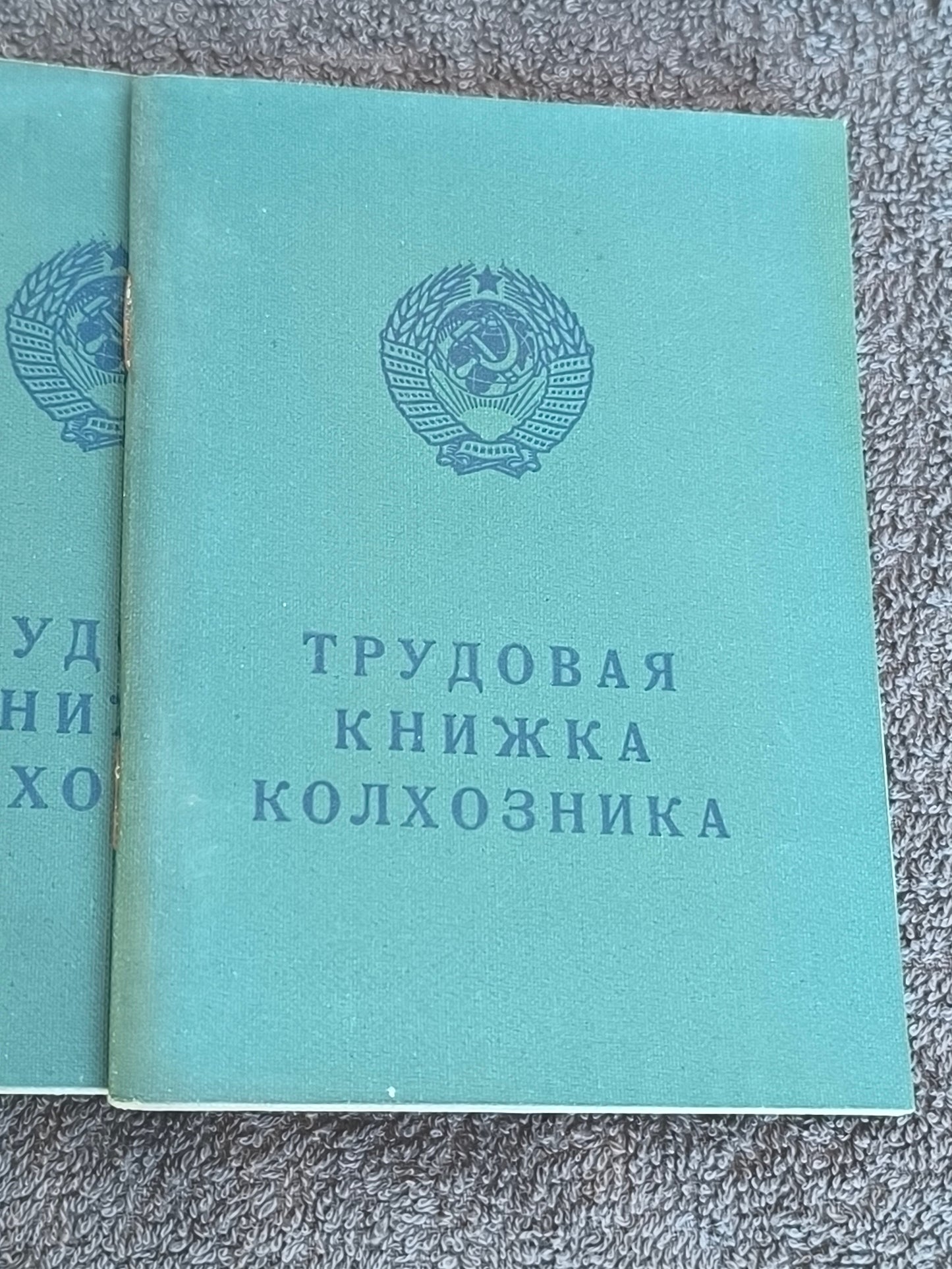 Farm Worker's Workbook, Original Blank Document , Collection of Rare Soviet Lithuanian Blanks.