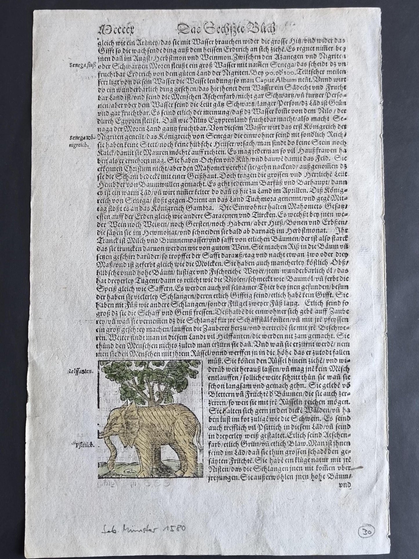 Woodcut Page from Münster’s Cosmographia, Double-Sided, ca. 1580