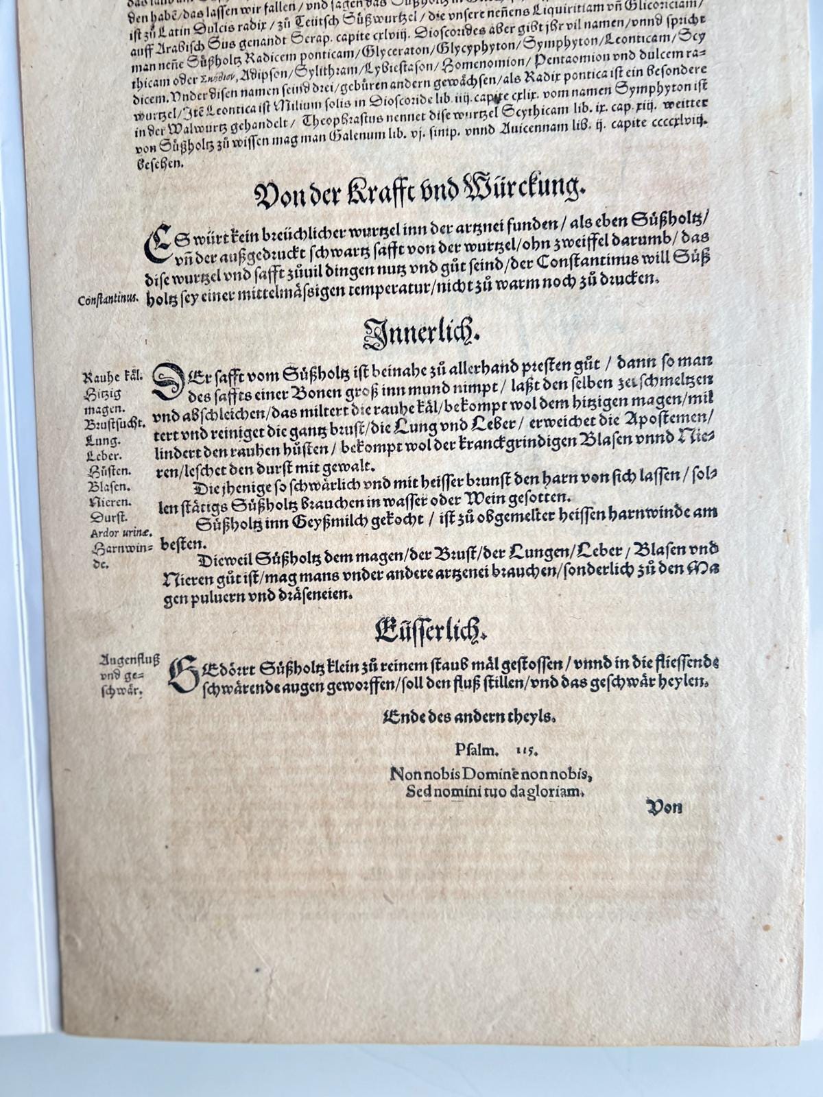 Licorice Herbal Book Page Tabernaemontanus Frankfurt 1588