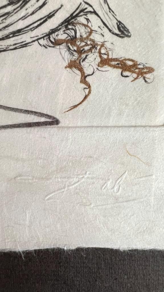 Salvador Dali Woman with Snail Etching Signed Edition 145 Framed